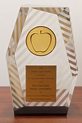 The Golden Apple Award for excellence in dentist well being activities